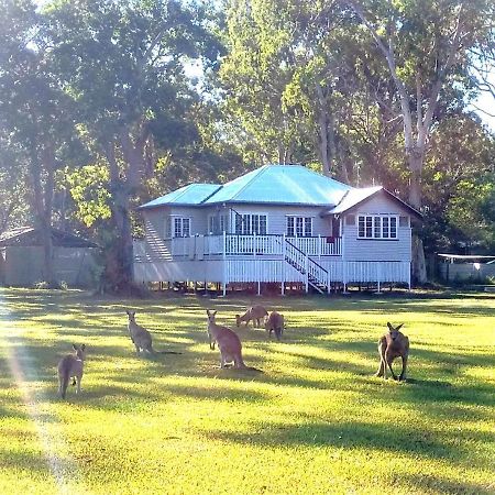 Lake Weyba Noosa Lodge & Kangaroos بيرجيان بيتش المظهر الخارجي الصورة