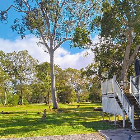 Lake Weyba Noosa Lodge & Kangaroos بيرجيان بيتش المظهر الخارجي الصورة