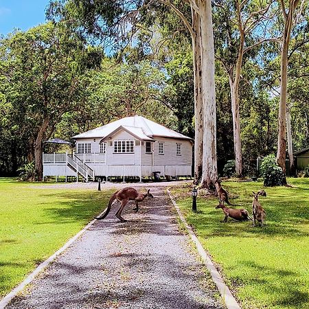 Lake Weyba Noosa Lodge & Kangaroos بيرجيان بيتش المظهر الخارجي الصورة