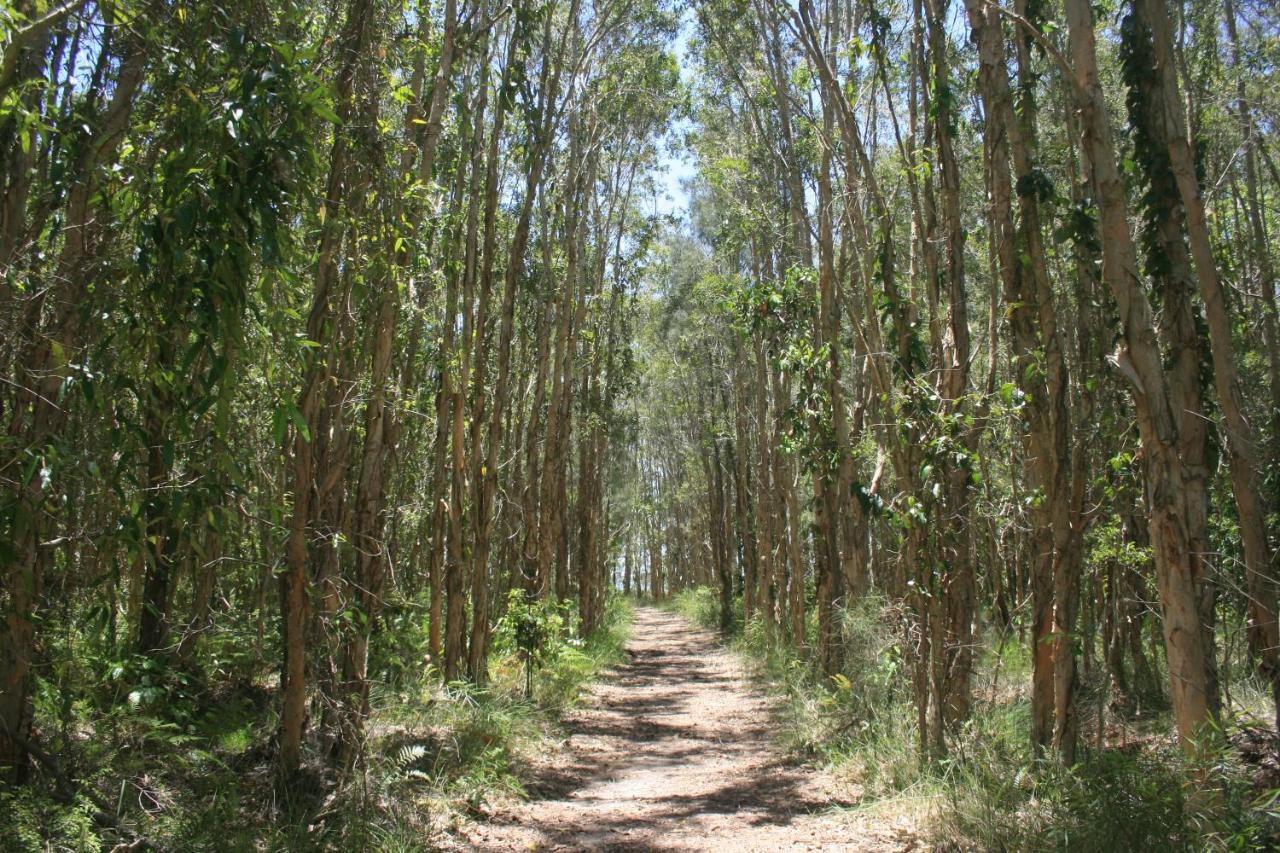 Lake Weyba Noosa Lodge & Kangaroos بيرجيان بيتش المظهر الخارجي الصورة