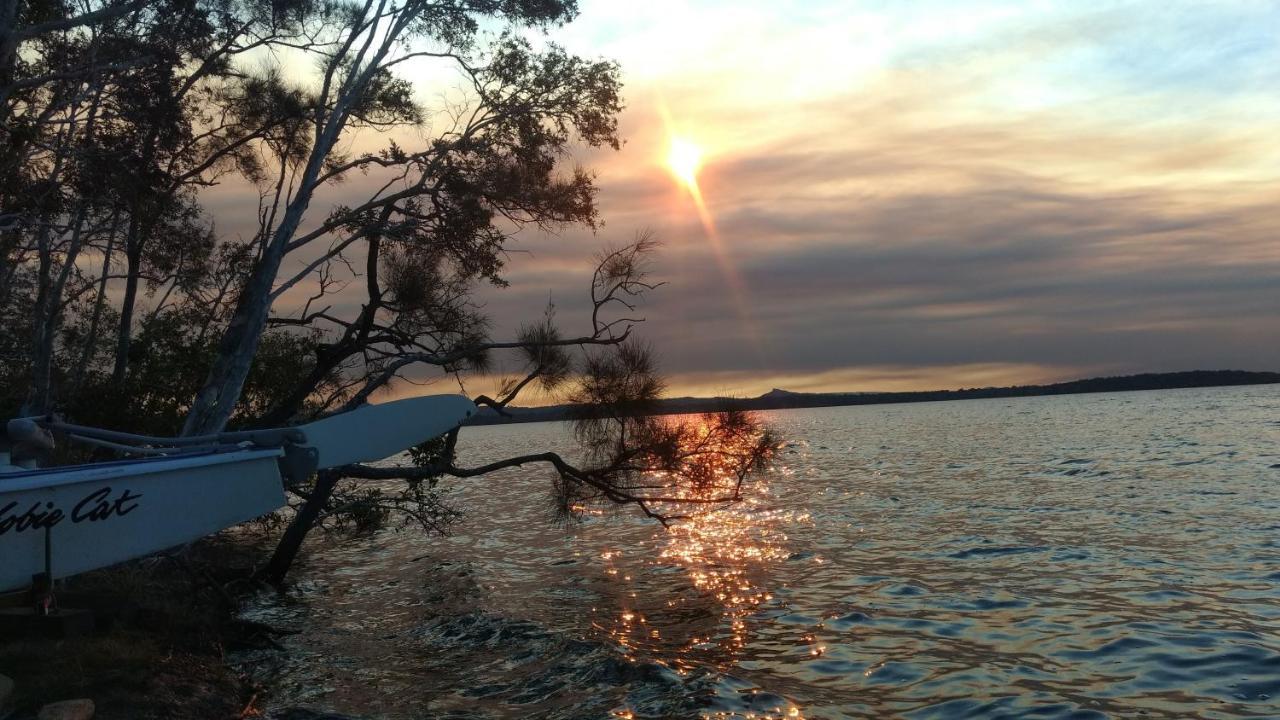 Lake Weyba Noosa Lodge & Kangaroos بيرجيان بيتش المظهر الخارجي الصورة