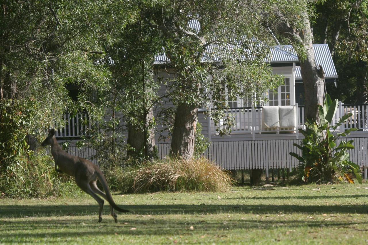 Lake Weyba Noosa Lodge & Kangaroos بيرجيان بيتش المظهر الخارجي الصورة