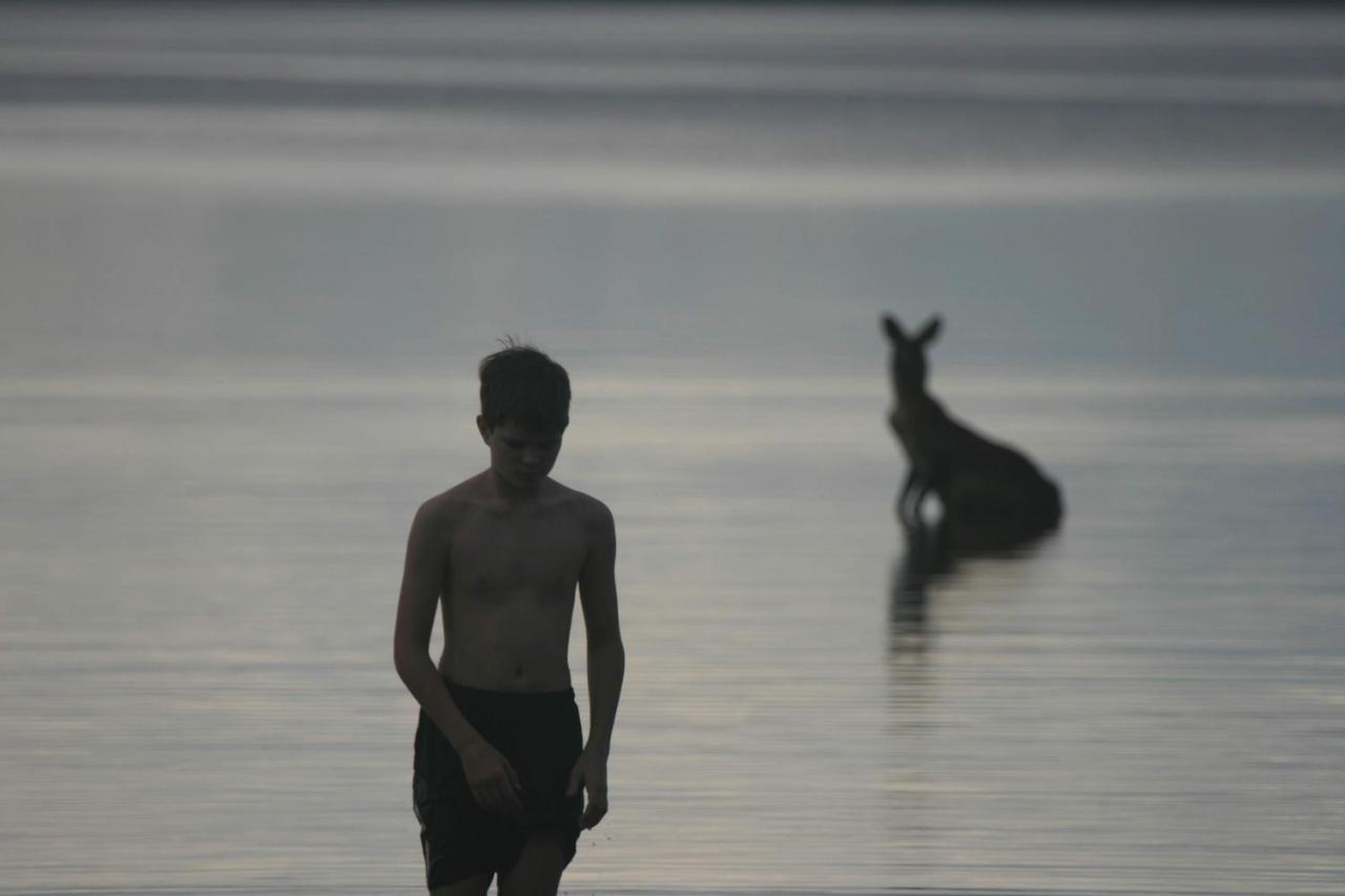 Lake Weyba Noosa Lodge & Kangaroos بيرجيان بيتش المظهر الخارجي الصورة