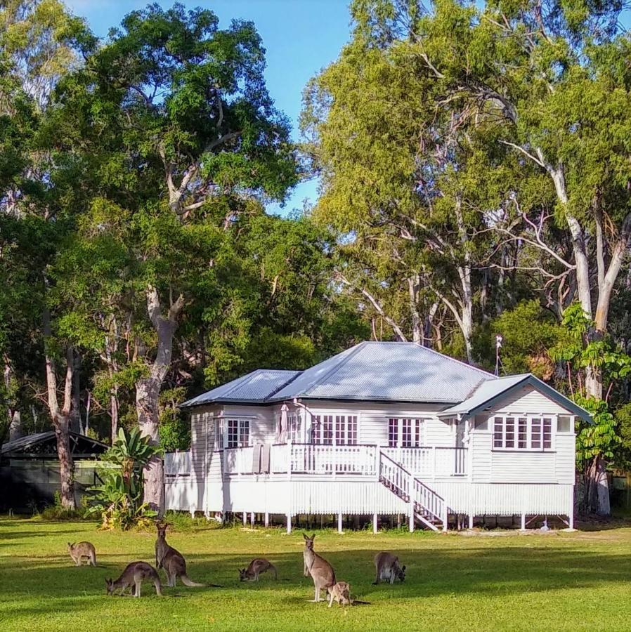 Lake Weyba Noosa Lodge & Kangaroos بيرجيان بيتش المظهر الخارجي الصورة
