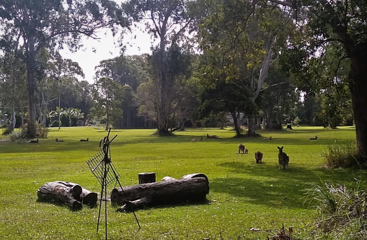 Lake Weyba Noosa Lodge & Kangaroos بيرجيان بيتش المظهر الخارجي الصورة