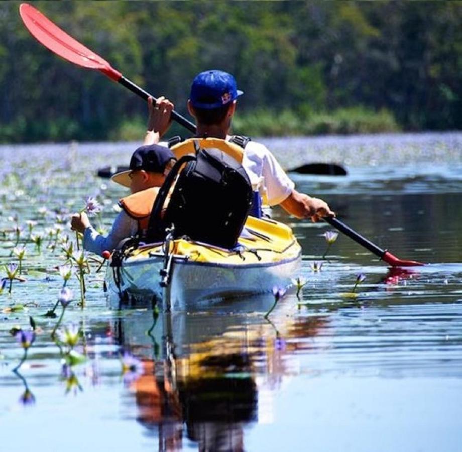 Lake Weyba Noosa Lodge & Kangaroos بيرجيان بيتش المظهر الخارجي الصورة