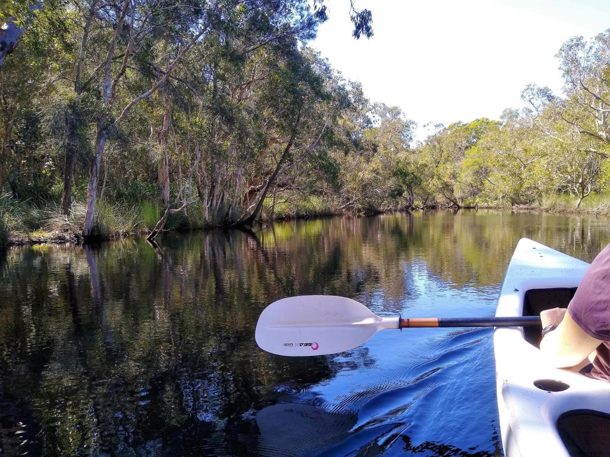 Lake Weyba Noosa Lodge & Kangaroos بيرجيان بيتش المظهر الخارجي الصورة