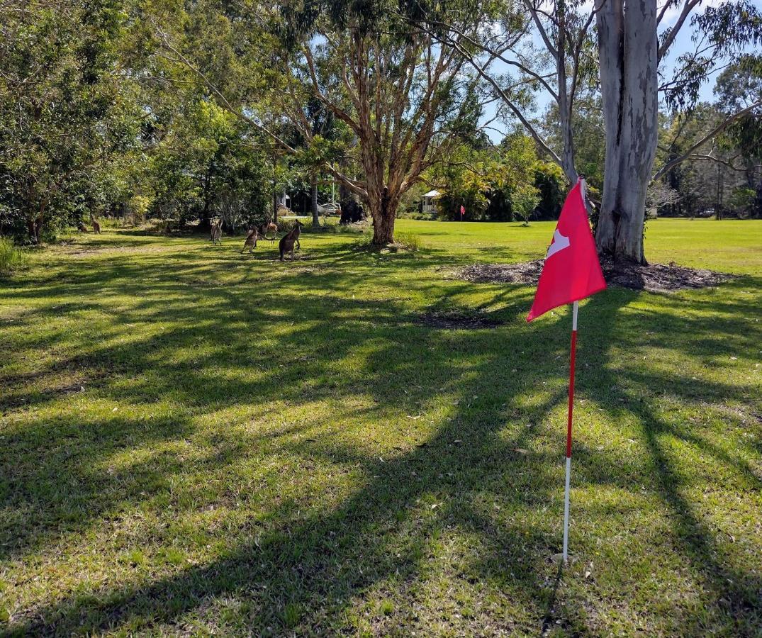Lake Weyba Noosa Lodge & Kangaroos بيرجيان بيتش المظهر الخارجي الصورة