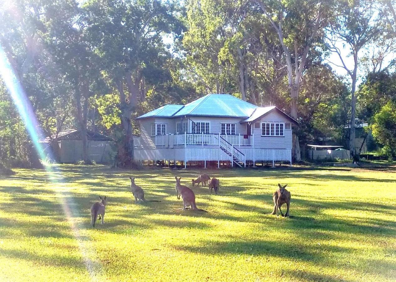 Lake Weyba Noosa Lodge & Kangaroos بيرجيان بيتش المظهر الخارجي الصورة