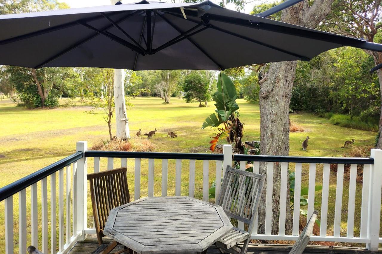 Lake Weyba Noosa Lodge & Kangaroos بيرجيان بيتش المظهر الخارجي الصورة