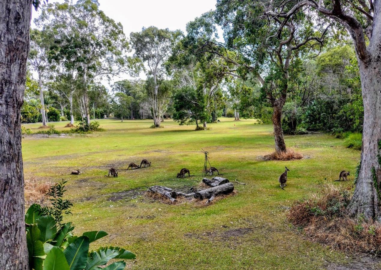 Lake Weyba Noosa Lodge & Kangaroos بيرجيان بيتش المظهر الخارجي الصورة