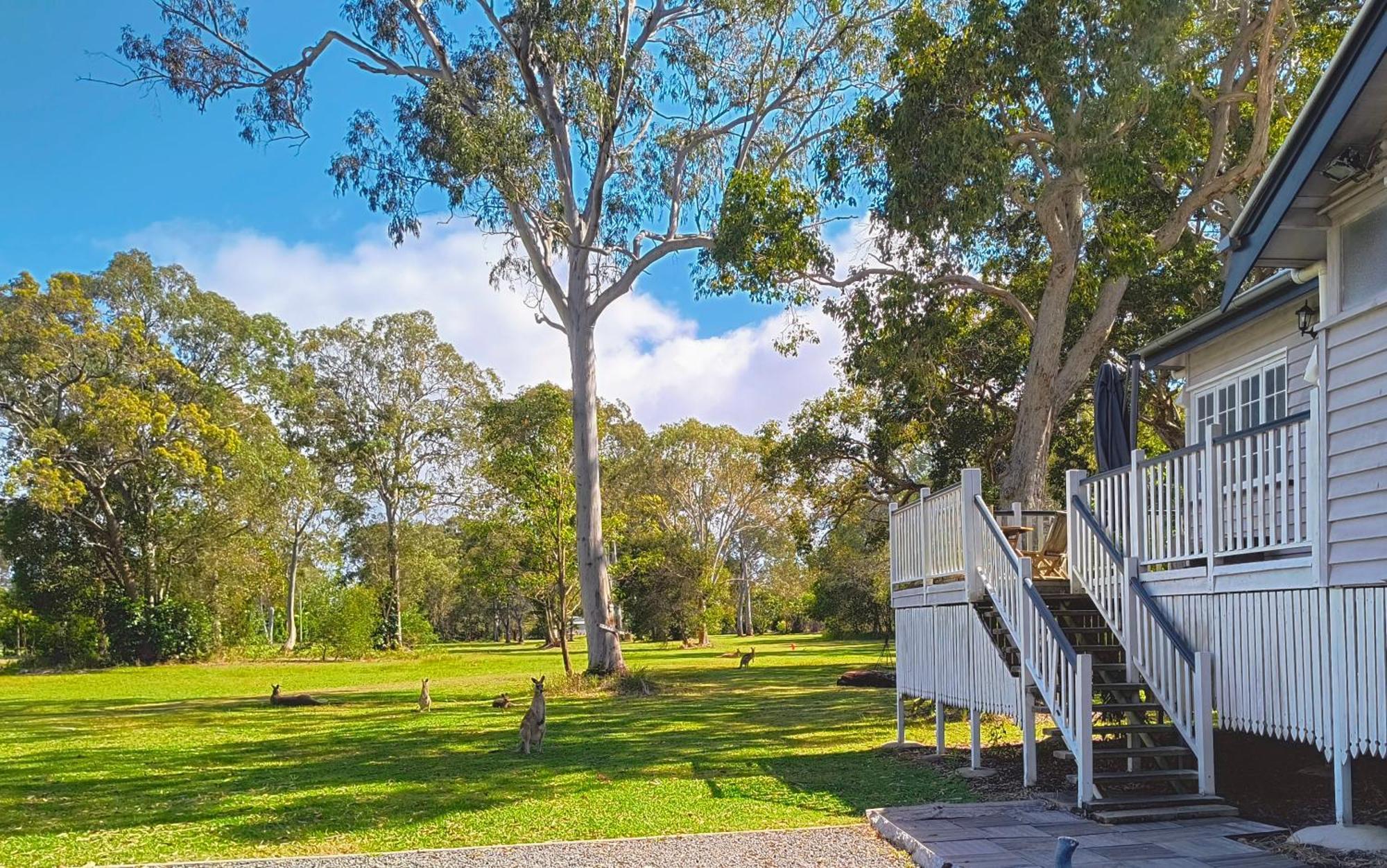 Lake Weyba Noosa Lodge & Kangaroos بيرجيان بيتش المظهر الخارجي الصورة