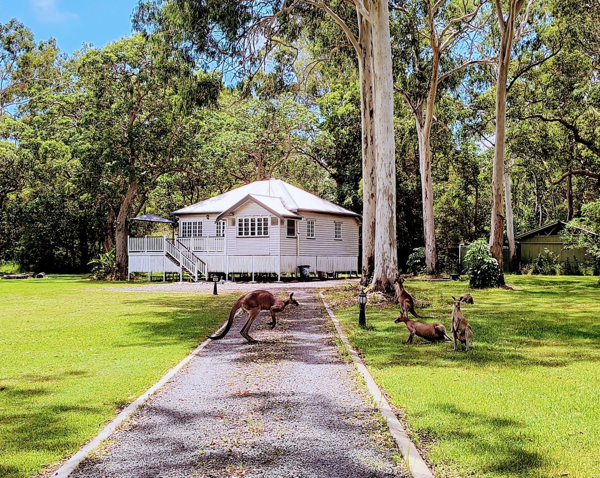 Lake Weyba Noosa Lodge & Kangaroos بيرجيان بيتش المظهر الخارجي الصورة